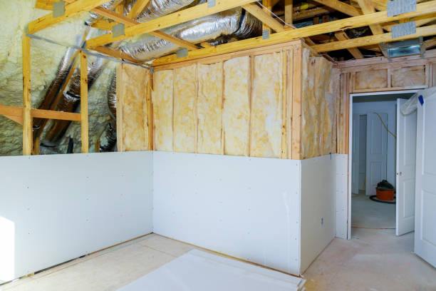 Best Insulation for New Construction  in Nekoosa, WI