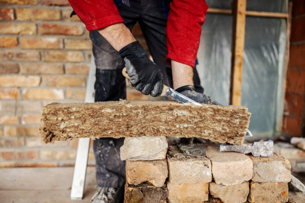 Best Wall Insulation Contractor  in Nekoosa, WI