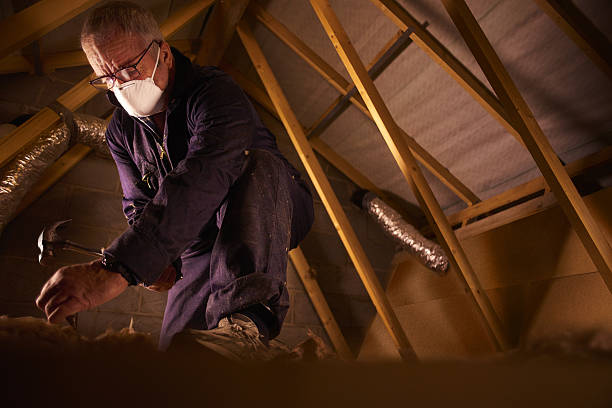 Best Residential Insulation Services  in Nekoosa, WI