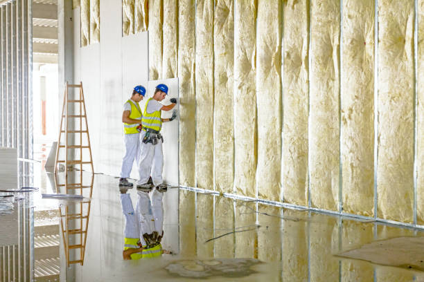 Best Spray Foam Insulation  in Nekoosa, WI